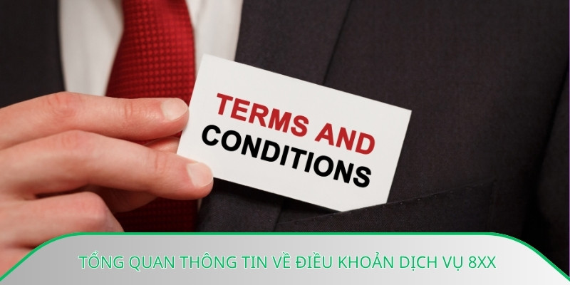 Tổng quan thông tin về điều khoản dịch vụ 8xx